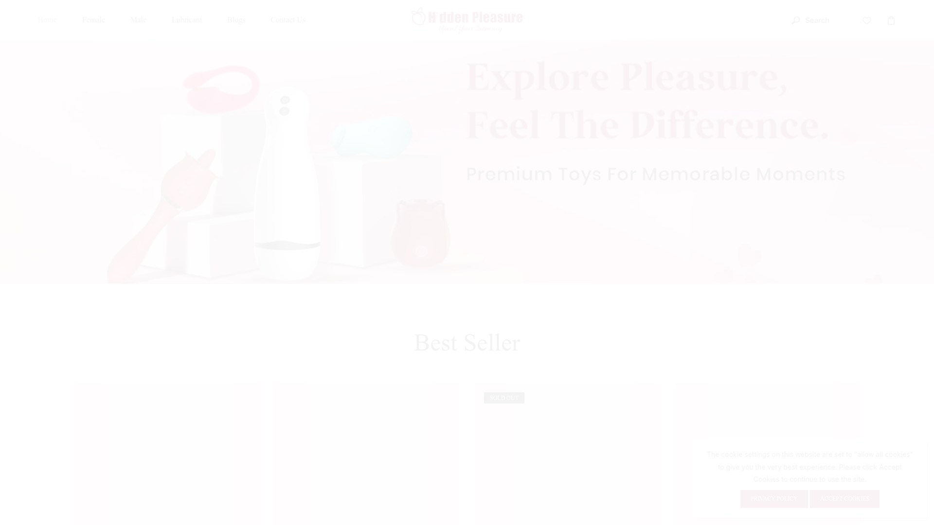 Hidden Pleasure website preview